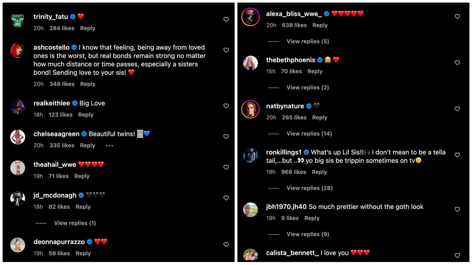 Many wrestlers commented on Rhea's post with her sister.